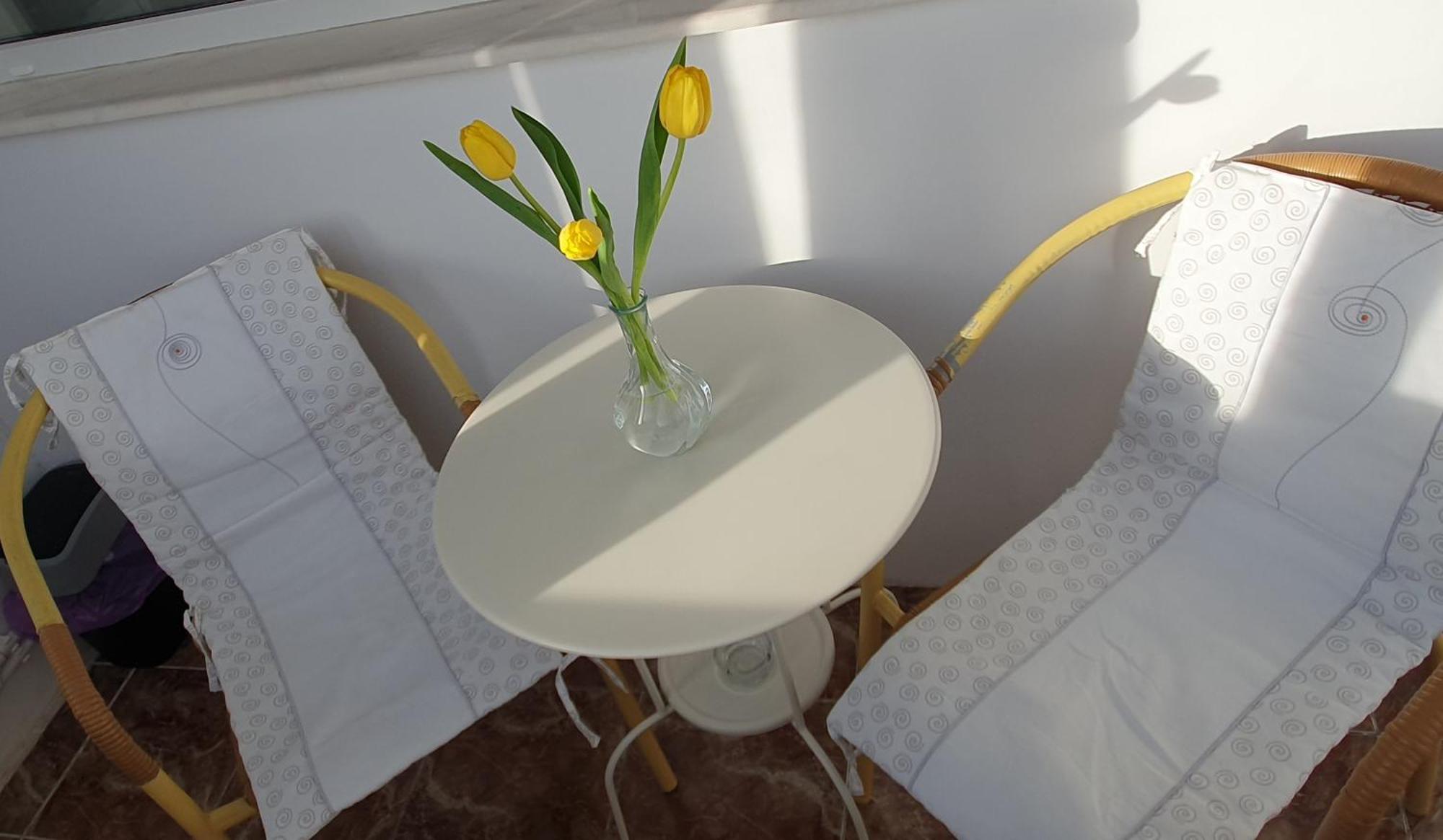 Neversea Apartment Констанца Экстерьер фото